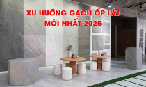 Xu hướng gạch ốp lát mới nhất 2025 dành cho ai chuẩn bị xây nhà
