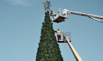 Sắp đến Noel, một cổ phiếu thép dựng hình “cây thông” trên bảng điện tử