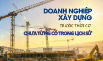 Loạt “ông lớn” Vinaconex, Đèo Cả, Hòa Phát… đứng trước thời cơ chưa từng có