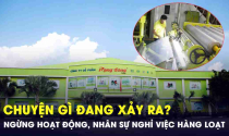Công ty nhựa 65 năm tuổi ngừng hoạt động, nhân sự nghỉ việc hàng loạt