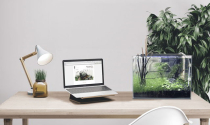 Vật phẩm phong thủy đặt bàn làm việc cho người mệnh Thủy