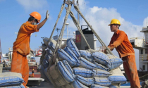 Bộ Xây dựng báo cáo Thủ tướng về tình trạng dư thừa hàng triệu tấn xi măng