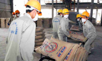 Thị trường xi măng sắp bước vào “cơn sốt” chưa từng có!