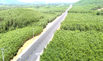 Khánh thành con đường xuyên rừng núi gần 1.200 tỷ tại Bình Định