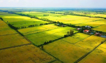 7 trường hợp thua kiện tranh chấp đất đai nhưng không phải đóng án phí