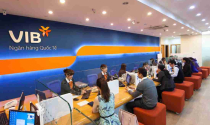 VIB mở gói mua nhà 45.000 tỷ: Lãi suất từ 5,9%, duyệt nhanh trong ngày, vay 1 tỷ trả gốc 1 triệu/tháng