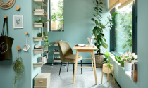 Xu hướng màu sắc 2025 giúp nâng cấp không gian nhà bạn
