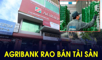 Agribank tìm người mua đất đai, nhà xưởng thế chấp của các công ty thép