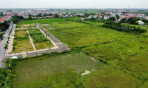 Hà Nội mở phiên đấu giá 102 lô đất vùng ven, giá khởi điểm chỉ từ 1,2 triệu đồng/m2