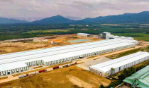 Thiên Hưng Mỹ Thọ 'trúng' 3 dự án cụm công nghiệp tại Bình Định