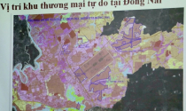 Đồng Nai muốn làm khu thương mại tự do 8.000ha gắn với sân bay Long Thành, cảng Phước An