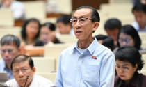 Kỳ họp bất thường lần thứ 9, Quốc hội khóa XV
