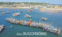 Các huyện Bạch Long Vĩ và Cát Hải: Cơ hội đột phá khi trở thành đặc khu