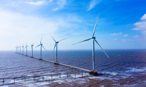 Chính thức phê duyệt khung giá điện gió ngoài khơi năm 2025