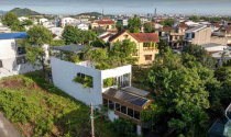 Thiết kế nhà ngoại ô như mọc lên từ triền đồi ở Huế