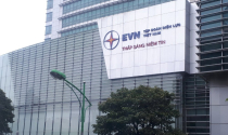 Đề xuất tính khoản lỗ, chênh lệch tỷ giá của EVN vào giá bán lẻ điện