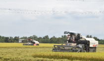 Phát triển nông nghiệp theo hướng bền vững