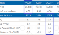 Ngân hàng Singapore nâng dự báo tăng trưởng GDP Việt Nam 2025