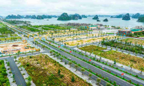 Quảng Ninh chuẩn bị đấu thầu khu đô thị 120 ha