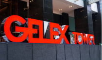 Mẹ CEO Gelex nâng sở hữu, mạnh tay rót gần 700 tỷ đồng khi cổ phiếu GEX lập đỉnh mới