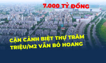 Hạ tầng 7.000 tỷ, biệt thự trăm triệu/m2 tại Hà Nội vẫn bỏ hoang