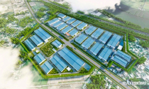 Hải Phòng khởi công cụm công nghiệp 480 tỷ đồng