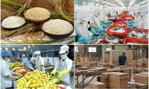 Xuất khẩu nông, lâm, thủy sản có thể cán mốc 70 tỷ USD trong năm nay