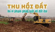Thu hồi đất với hộ gia đình, cá nhân thuộc trường hợp vi phạm pháp luật về đất đai theo quy định mới nhất