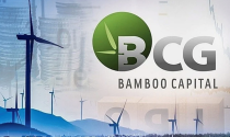 Bamboo Capital giải trình việc cổ phiếu BCG bị hạn chế giao dịch, cam kết sớm khắc phục