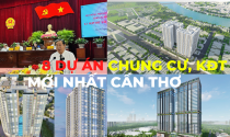 Danh sách 8 dự án chung cư, khu đô thị mới nhất tại Cần Thơ