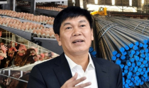 Tỷ phú Trần Đình Long sắp đưa công ty nông nghiệp lên sàn: Tham vọng mới sau thép?