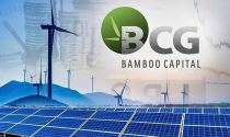Bamboo Capital dự kiến hoạt động kinh doanh có lãi trở lại từ năm 2028