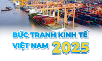 Kinh tế Việt Nam 2025 qua những con số: Nhiều điểm sáng nổi bật