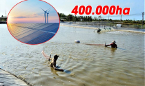 Nghiên cứu triển khai điện gió, điện mặt trời kết hợp nuôi trồng thủy sản và điện khí LNG tại Cà Mau