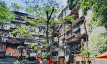 Hà Nội tổng kiểm tra toàn bộ chung cư cũ tại 48 xã, phường