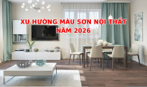Xu hướng màu sơn nội thất năm 2026: Chọn sai màu, nhà dễ lỗi thời