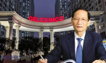 Động thái mới nhất tại công ty sở hữu hàng loạt đất vàng sau sự xuất hiện của Geleximco