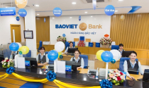 BaoVietBank: Tổng tài sản vượt 110.000 tỷ, lợi nhuận quý 4 giảm sâu