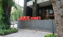 GELEX dự chia 53% cho cổ đông sau năm lãi gần 3.000 tỷ