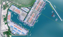Hé lộ nhà đầu tư 'siêu dự án' xây dựng Bến cảng container Liên Chiểu, Đà Nẵng