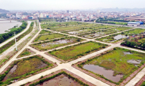 Ninh Bình sẽ đấu giá 4 khu “đất vàng" trong năm 2026