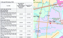 Đang niêm yết phương án bồi thường tuyến đường dài nhất Đông Nam Bộ: Đất Tân Tập đền bù gần 9 triệu đồng/m2