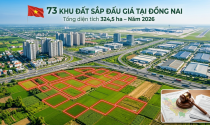 TOÀN CẢNH 73 khu đất chuẩn bị ĐẤU GIÁ tại Đồng Nai