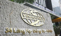 Vinaconex có kế hoạch mua gần 1/4 cổ phần Giầy Thượng Đình, doanh nghiệp sở hữu “đất vàng” làm dự án lớn ở Hà Nội