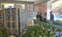 Phép thử năng lực chủ đầu tư