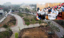 Đấu giá đất Quốc Oai sôi động: Lô cao nhất hơn 125 triệu đồng/m2