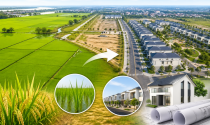 Cà Mau sắp thông qua 2 dự án nhà ở: Hàng chục nghìn mét vuông đất lúa chuẩn bị chuyển đổi