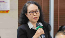 Kiều hối, nguồn lực gắn kết kiều bào với quê hương