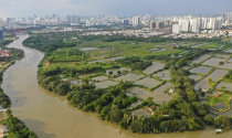 Kết quả kinh doanh quý 1/2026
