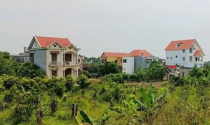 Đất trồng cây lâu năm đã xây nhà có được cấp Giấy chứng nhận?